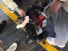 -万达广场(泰安泰山店)