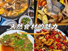 -草墩罗非鱼庄•野生菌•腊排骨(七星街上段店)