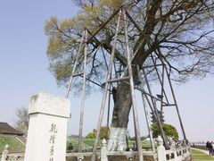 -观潮胜地公园