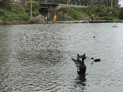 -前关湿地公园