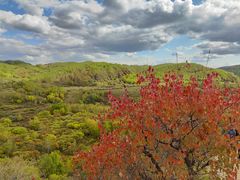 -塞罕坝国家级自然保护区