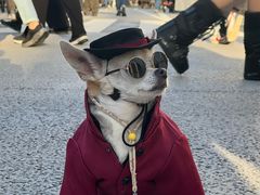 -优衣库(银座店)