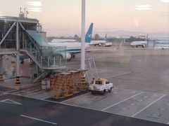 -厦门高崎国际机场-T3航站楼