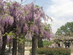 -南开大学滨海学院