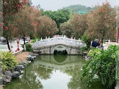 -珠海圆明新园