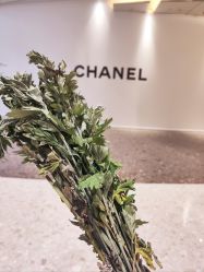 -巍阁高端月子会所