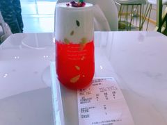 -飞行喵MR PILOT|猫舍·猫咖(静安大融城店)