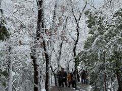 -紫金山山顶公园