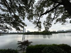 -食膳公园包子铺(烈士公园店)