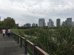 -尚贤河湿地