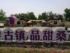 -御林古桑园