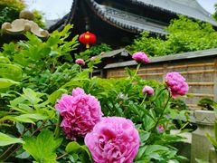 -龙华寺