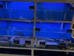 -威海渔村(静安旗舰店)