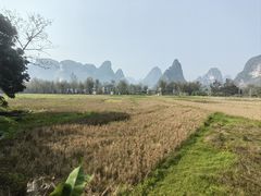 -明仕田园