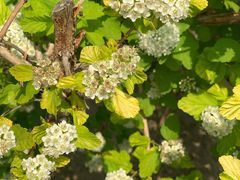 门面-大兴滨河森林公园