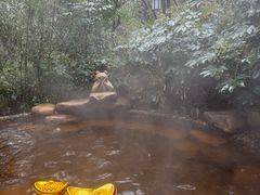 -天目湖涵田半山温泉