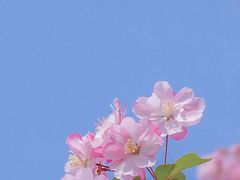 -四川大学(望江校区)
