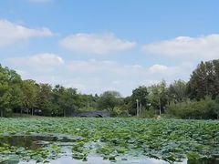 -长广溪湿地公园