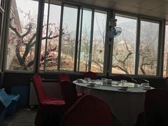 -闻道食府烙饼卷带鱼(原车耳营店原大觉寺店)