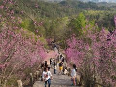 -天台山赤城山景区