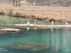 -靖西鹅泉风景区