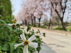 -南丰汇(新港东路店)