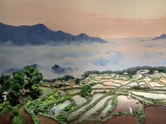 -中国湿地博物馆