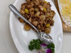 -丁老爷子苏香圆