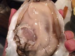 -斯普汇生蚝牛排馆(中骏世界城店)