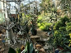 -国家植物园南园