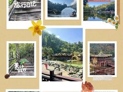 -西双版纳原始森林公园