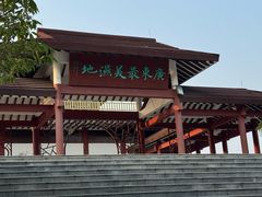 -大湾区中央湿地公园