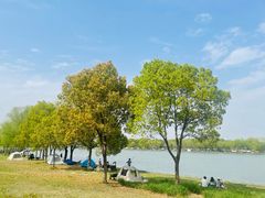 -长广溪湿地公园