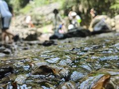 -华蓥山天意谷景区