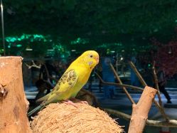 -酷嗒动物文化乐园(cutezoo西溪乐天城店)