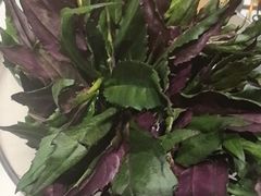 -东来顺•非遗火锅(外滩店)