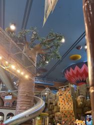 -卡通尼·Safari非洲探索乐园·生日会(金桥国际商业广场店)