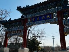 -云岗森林公园