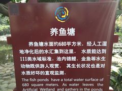 -成都市活水公园