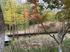 -昆山城市生态森林公园