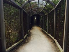 iphone_upload_pic-东部华侨城