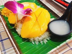 -Jungle Kitchen