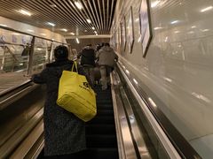 -高庙村(地铁站)