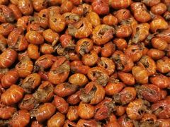 -万嘉自助火锅烤肉烧烤
