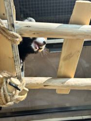 -Zoolung Zoolung动物主题公园(海信广场店)