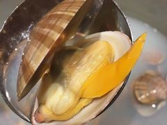 -日丰园海肠水饺·老字号大连海鲜(和平广场店)