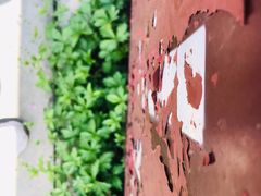 -回龙观体育文化公园