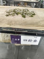 -太湖雪蚕桑文化园