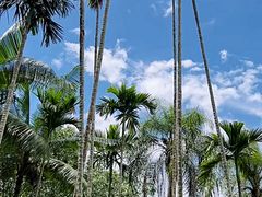 -中国科学院西双版纳热带植物园
