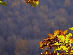 -塞罕坝国家级自然保护区